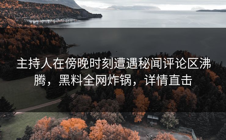 主持人在傍晚时刻遭遇秘闻评论区沸腾，黑料全网炸锅，详情直击