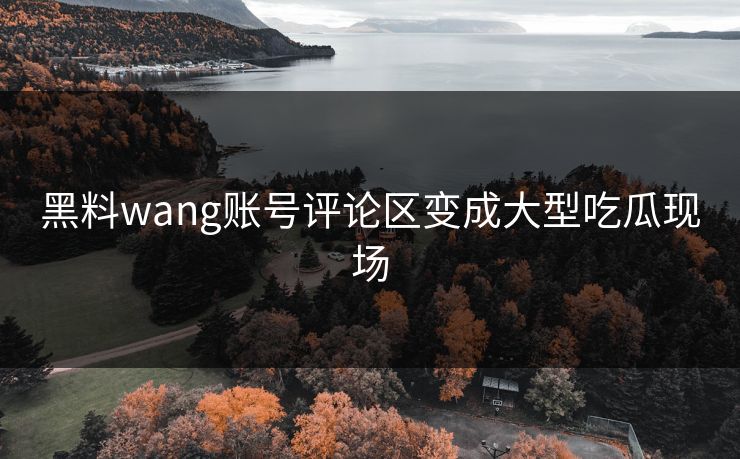 黑料wang账号评论区变成大型吃瓜现场