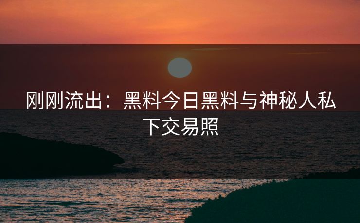 刚刚流出：黑料今日黑料与神秘人私下交易照