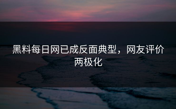黑料每日网已成反面典型，网友评价两极化