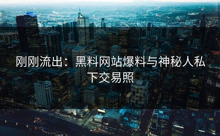 刚刚流出：黑料网站爆料与神秘人私下交易照