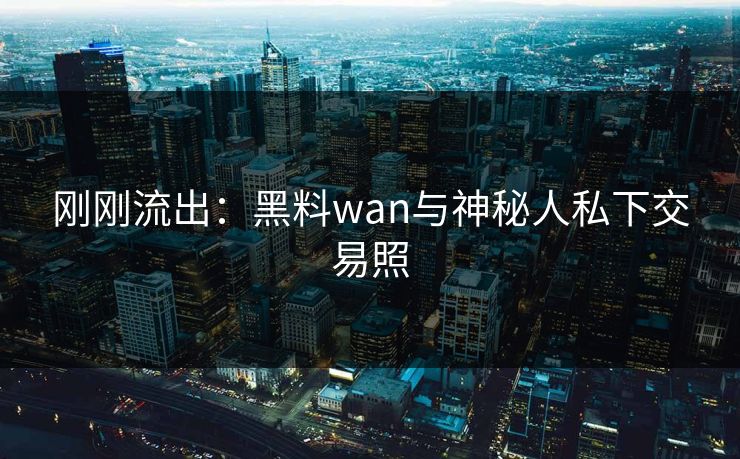 刚刚流出：黑料wan与神秘人私下交易照