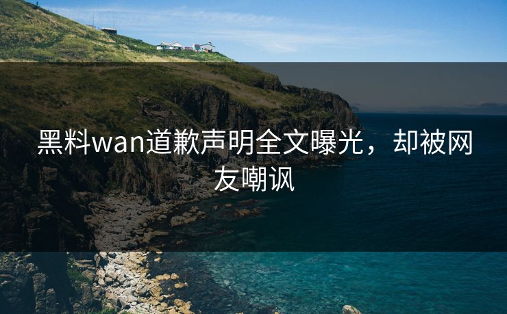 黑料wan道歉声明全文曝光，却被网友嘲讽