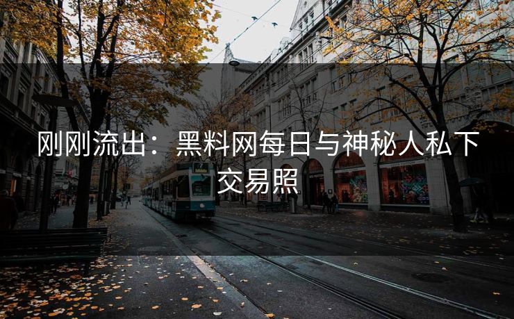 刚刚流出：黑料网每日与神秘人私下交易照