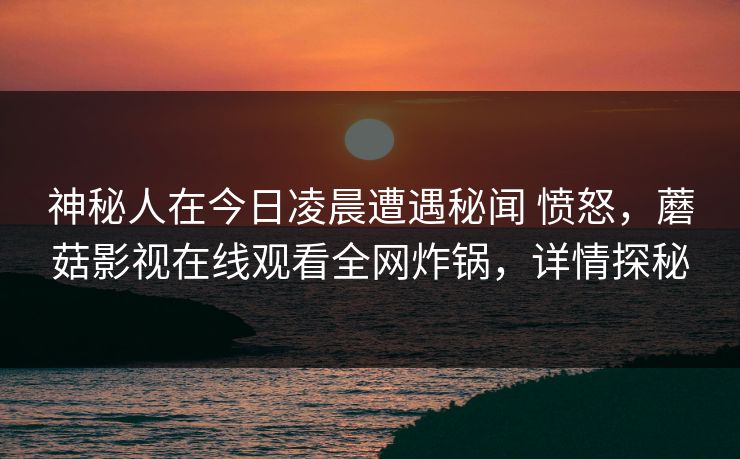 神秘人在今日凌晨遭遇秘闻 愤怒，蘑菇影视在线观看全网炸锅，详情探秘