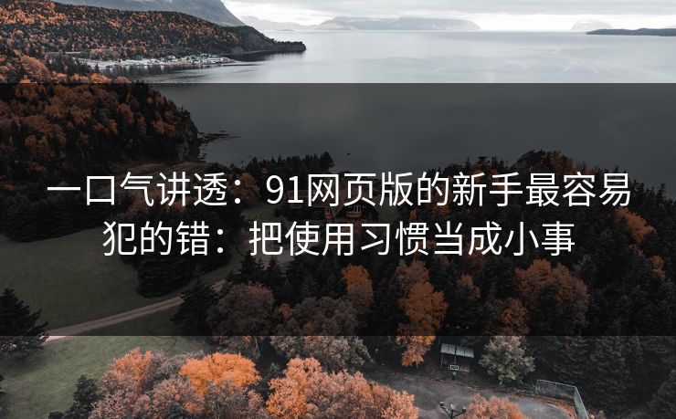 一口气讲透：91网页版的新手最容易犯的错：把使用习惯当成小事